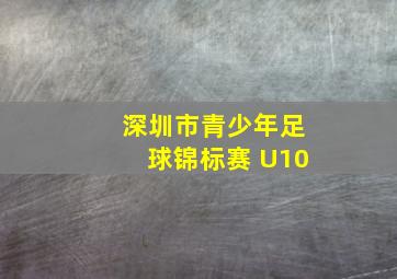 深圳市青少年足球锦标赛 U10